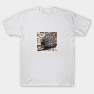 Echidna T-Shirt